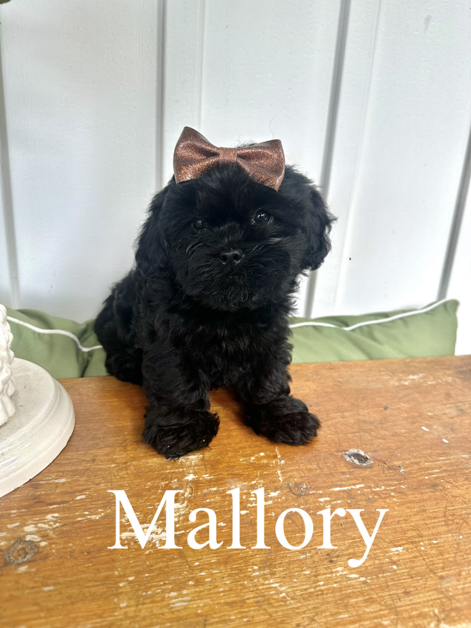 Mallory 2